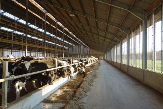 Ventilatie in de stal