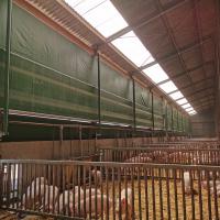 Ventilatie varkens