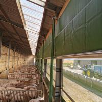 Ventilatie varkens